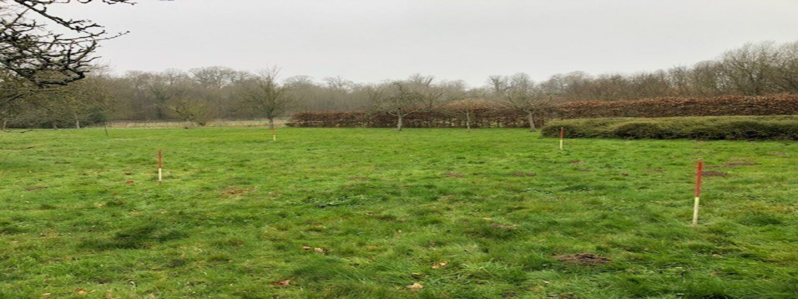 Photo 13.jpg