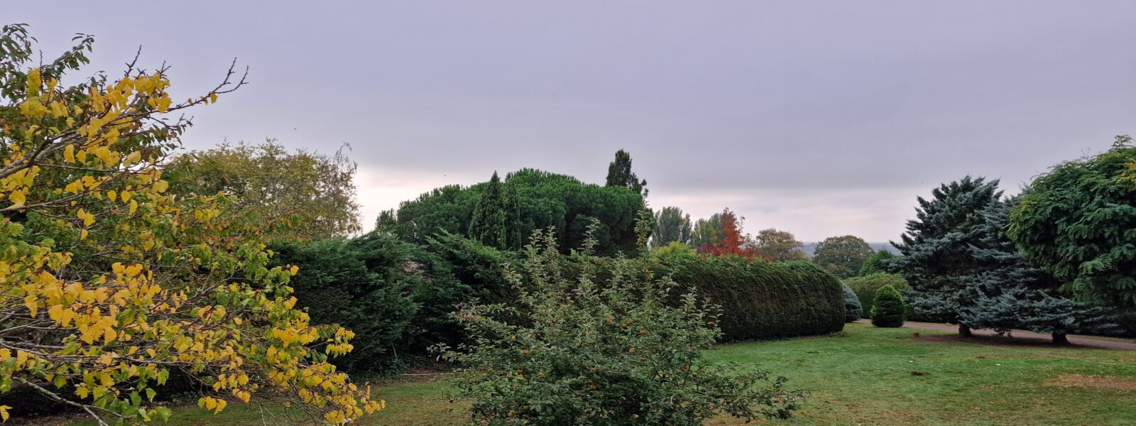 20251013_101323.jpg