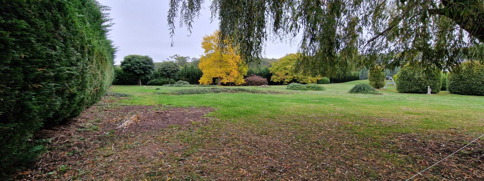 20251013_102758.jpg