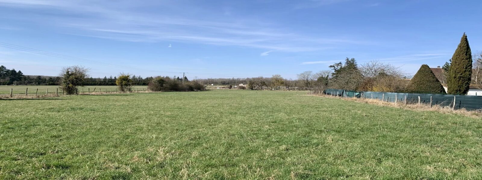 Dammartin en serve- TAM.jpg